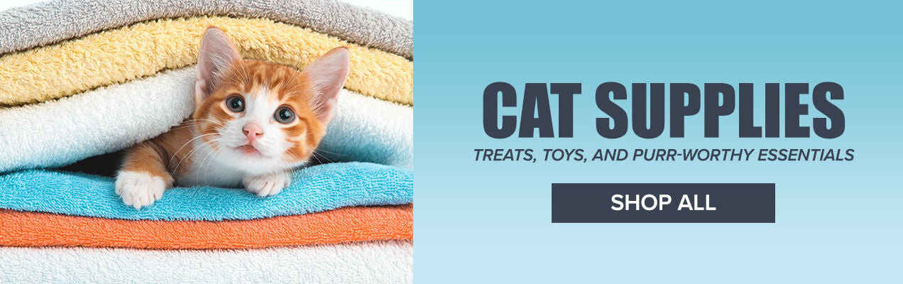 Cat Supplies